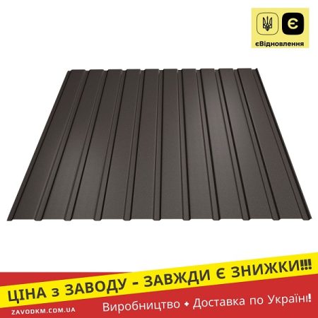 ПС-10 Профнастил Ral 8019 Темно-Коричневий Металопрофіль