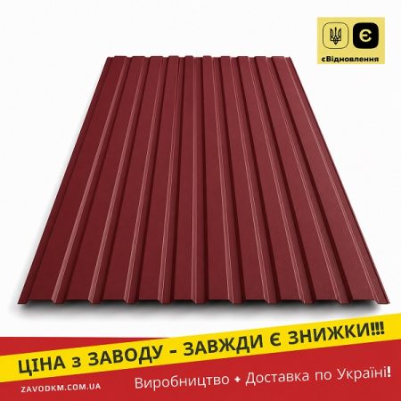 профнастил пс-10 - колір 3005 мат